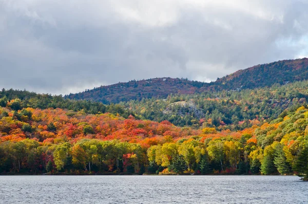 Waldsee Sonnigem Augusttag Kanada — Stockfoto