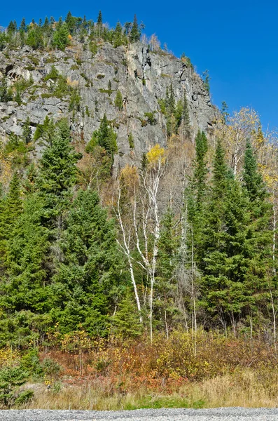 Kuzey Ontario Ormanı Sonbahar Zamanı Rock — Stok fotoğraf