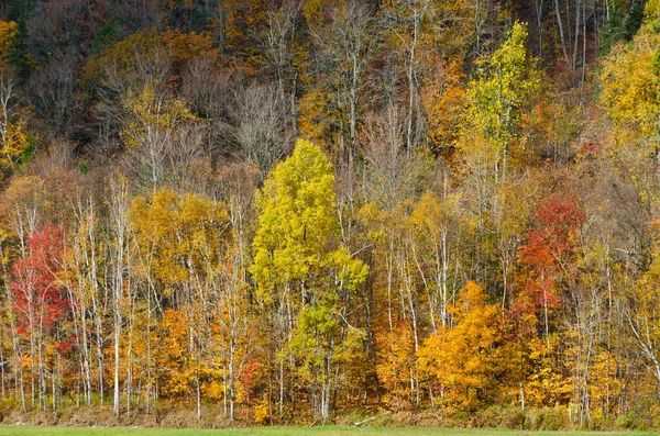 Rurar Landscape Fall Time Quebec Canadá — Fotografia de Stock