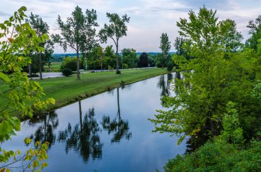 Yaz mevsiminde suların etrafındaki ağaçlar