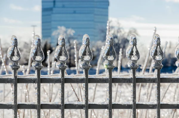 Arbres Rues Ville Canadienne Après Une Pluie Verglaçante — Photo