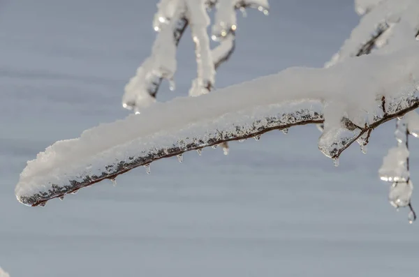 얼어붙은 얼음에 꼬챙이들 — 스톡 사진