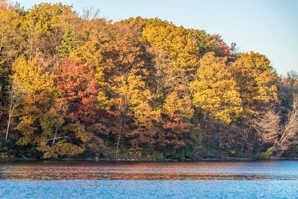 Озеро Ричмонд Хилл Канада Течение Осеннего Сезона — стоковое фото