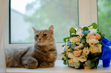 Kedi bir güzel düğün buket taze çiçek kokluyor