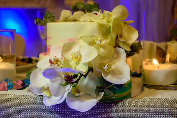 Verjaardagstaart Versierd Met Verse Witte Orchideeën — Stockfoto