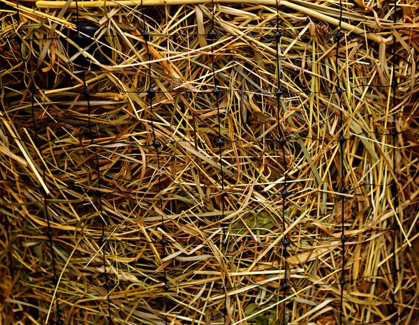 Hay Grid Closeup Hay Wrapped Mesh — Stock Photo, Image