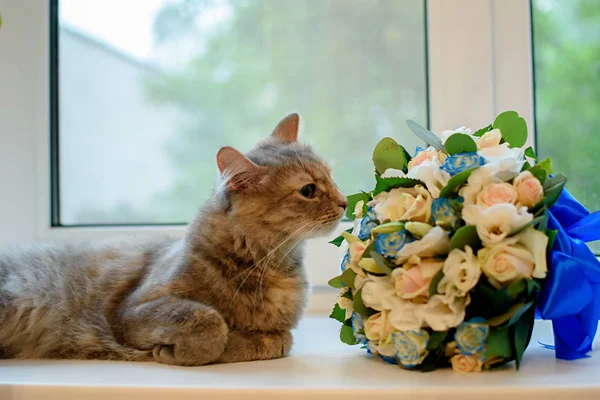 Gato Cheira Lindo Buquê Casamento Flores Frescas — Fotografia de Stock