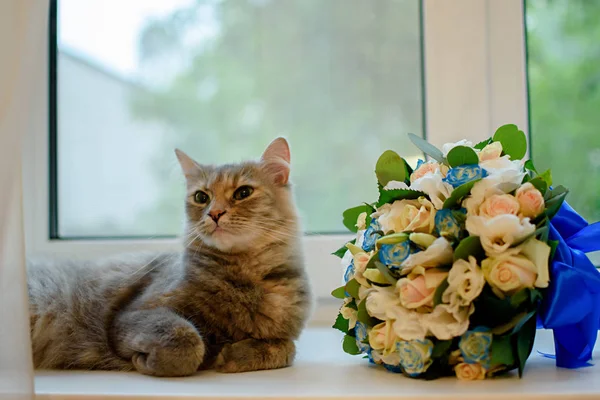 Gato Cheira Lindo Buquê Casamento Flores Frescas — Fotografia de Stock