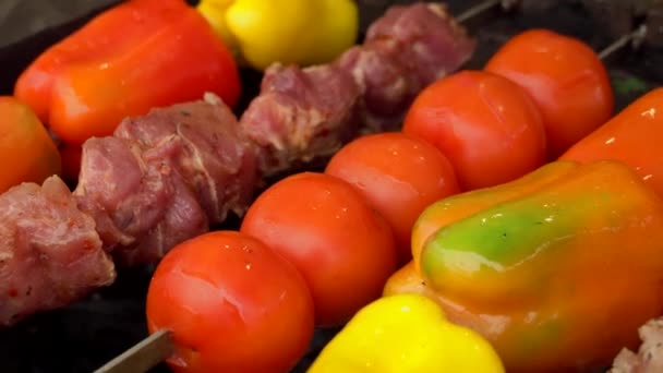 La carne, los pimientos y los tomates giran en la parrilla — Vídeo de stock