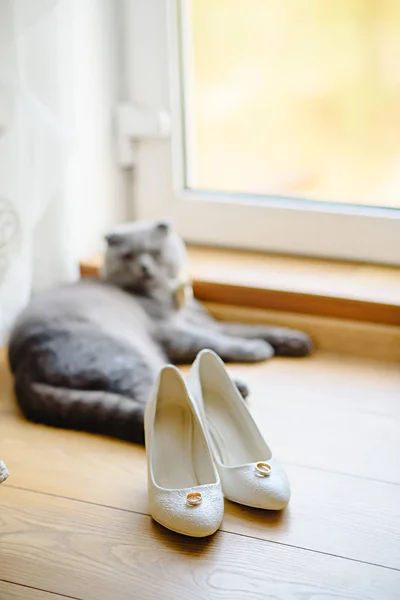 Detalhes do casamento. Sapatos brancos, gato e anel de jóias de casamento — Fotografia de Stock