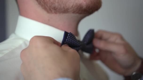 Man Dresses Bow Tie — Stock Video