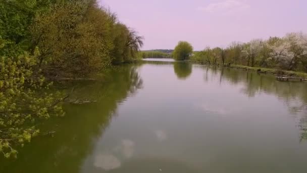 Vista Aerea Fiume Circondato Bellissimi Alberi — Video Stock