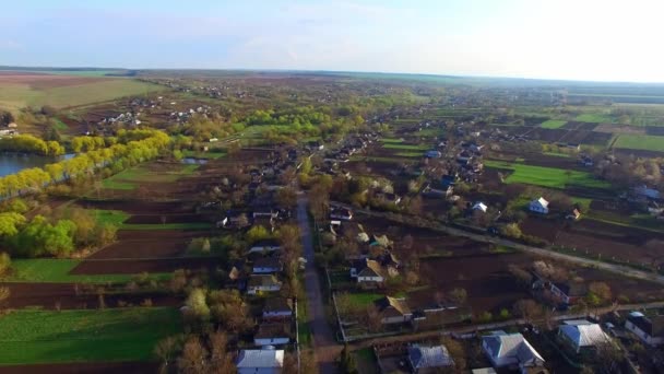 Vista Aérea Hermosa Naturaleza Diversos Árboles Casas — Vídeos de Stock