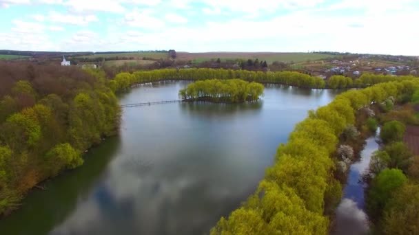 Luftaufnahme Einer Insel Und Schöner Vielfarbiger Bäume — Stockvideo