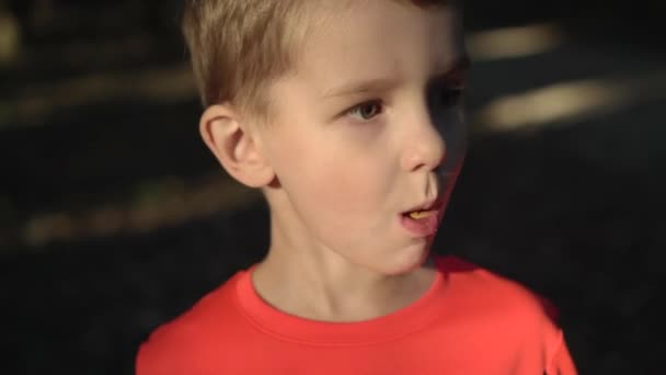 赤いシャツの少年がクッキーを食べる — ストック動画