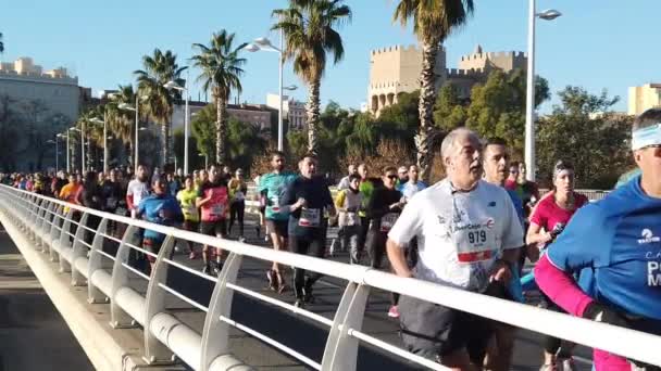 Valencia Spanyolország 201 Január Futók Versenyeznek Valencia Ibercaja 2019 Road — Stock videók