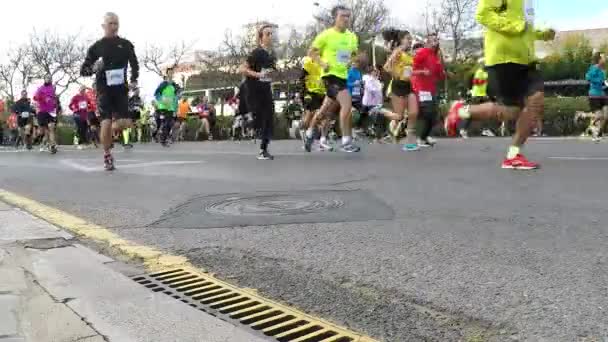 Valencia Spanya Ocak 2019 Koşucular Xxi Carrera Popüler Galapagos Yol — Stok video