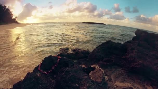 Hawaii Rocky Cove Bakarak Geniş Açılı Görünüş — Stok video
