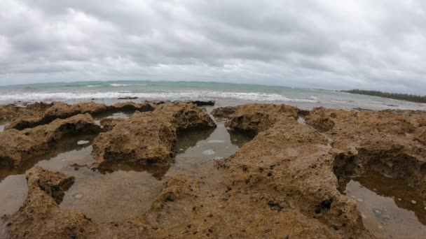 Stäng Upp Rocky Tide Pool Stormig Dag — Stockvideo