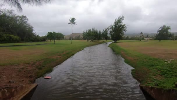 Droga Wodna Prowadząca Oceanu Przez Pole Golfowe Hawajach — Wideo stockowe