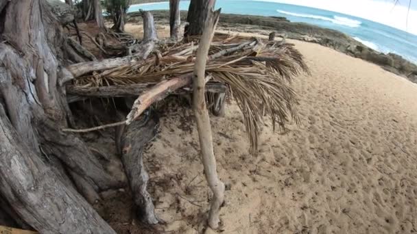 在隐蔽的热带海滩上手工制作的小屋外部 — 图库视频影像
