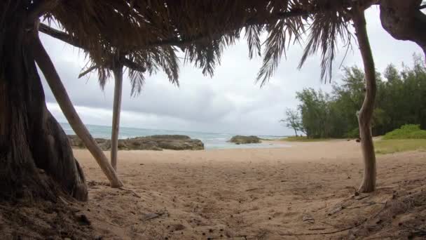 Einer Handgefertigten Strandhütte — Stockvideo