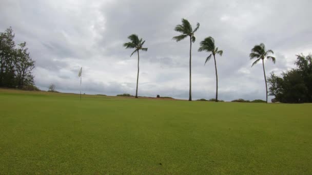 Med Utsikt Över Höga Palmer Vinden Beach Resort — Stockvideo