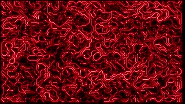 Świecące Czerwone Gęste Obwód Animacja Płyta Główna Loop — Wideo stockowe