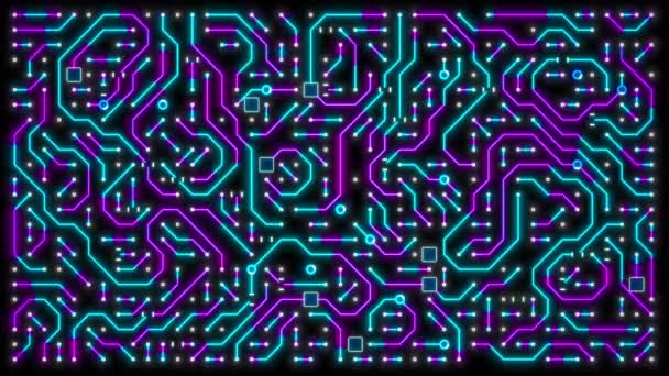 Glowing Magenta Teal Circuit Animation Motherboard Loop Matte — Stock Video