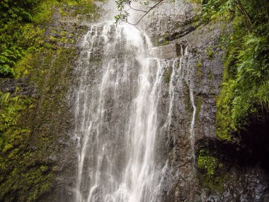 Maui Hawaii Şelalesi Kapat