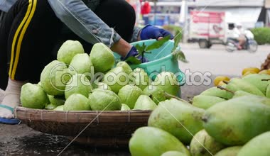 Kadın bir sepet içinde yeşil guava yıkar ve bir çiftçi pazarda satıyor
