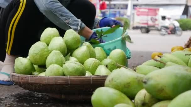 Frau wäscht grüne Guave in einem Korb und verkauft sie auf einem Bauernmarkt — Stockvideo