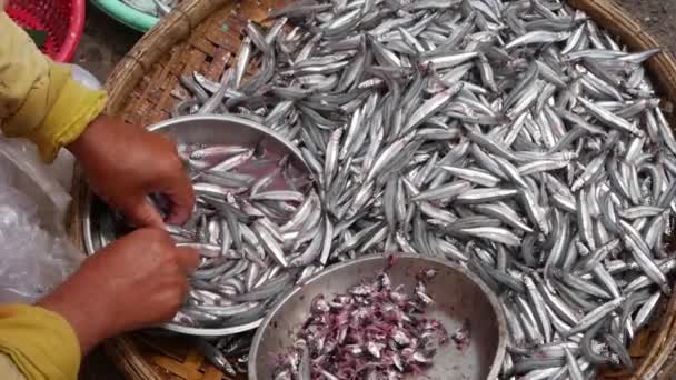 Женщины сортируют рыбу на вьетнамском рынке — стоковое видео