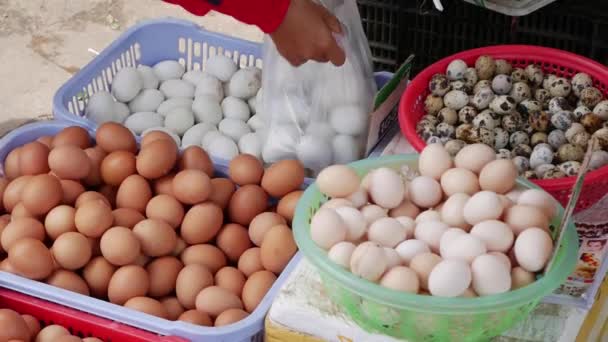 Die weibliche Hand wählt ein weißes Hühnerei aus und legt es in eine Plastiktüte auf dem lokalen Markt — Stockvideo