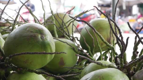 Primer plano muchos cocos verdes en un mercado local — Vídeos de Stock