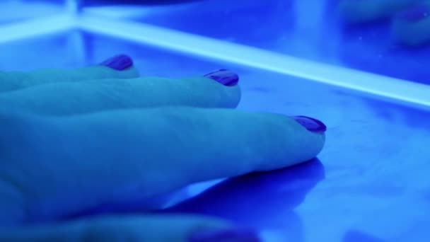 Vértes uv led lámpa, és egy női kéz, belső rögzítő a gél körömlakkot, a szépségszalon — Stock videók