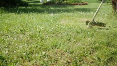 Güneşli bir yaz gününde motor kesme çim ile Benzinli çim biçme makinesi düzeltici ile erkek işçisi. Ülkede çim kesme. Slowmotion