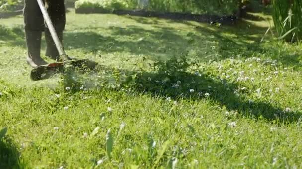 Mannelijke werknemer met benzine gazonmaaier trimmer met motor snijden gras op een zonnige zomerdag. Snij gras in het land. Slowmotion — Stockvideo