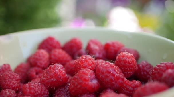 Männliche Hand nimmt Himbeere aus Schüssel mit vielen frischen Himbeeren. Nahaufnahme — Stockvideo