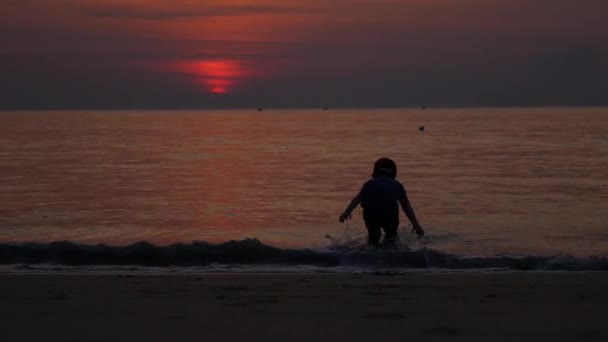 한 어린 소년이 해질녘 해변에서 놀고 있습니다. 4k — 비디오