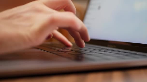 Primer plano de las manos femeninas escribiendo en el teclado del ordenador portátil. Mujer trabajando en el portátil en la cafetería. 4k — Vídeos de Stock