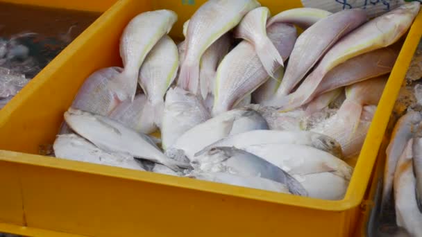 Vendedor pone pescado fresco del mar en escaparate con hielo en el mercado asiático de la calle. 4k — Vídeos de Stock