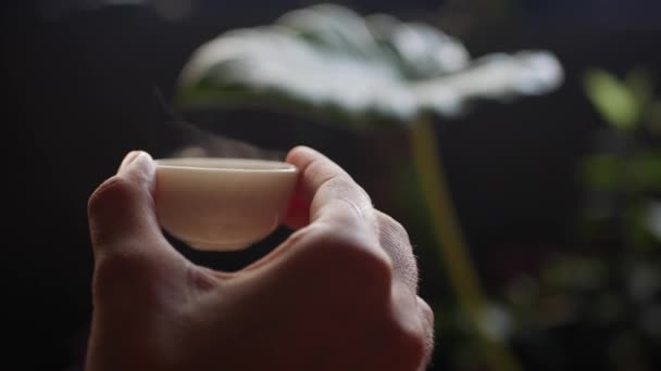 Mujer sostiene pequeña taza de té con té chino Oolong. Gongfu chino tradicional o ceremonia del té de kung fu. Elemento de la cultura tradicional china. Primer plano. 4k — Vídeo de stock