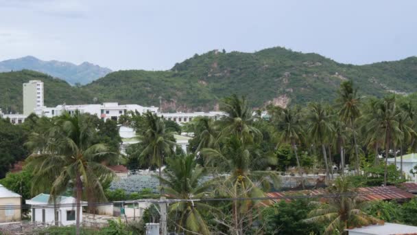 Kleine Stadt mit Palmen in bewölkten Tag auf Bergen Hintergrund. Tropisches Konzept. 4k — Stockvideo