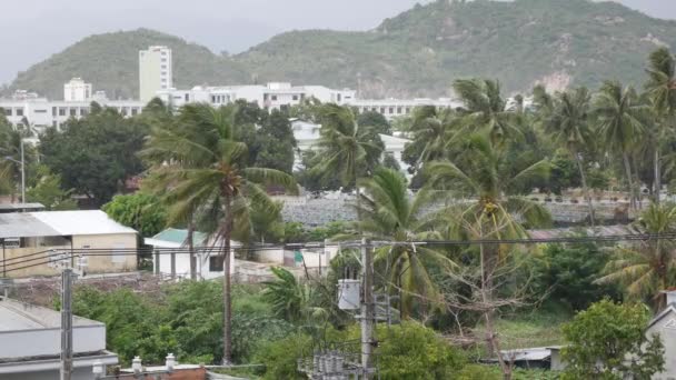 Pequeña ciudad con palmeras bajo la lluvia tropical inicial. Temporada de lluvias tormentosas. 4k — Vídeo de stock