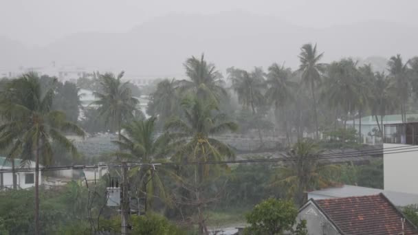 Pequeña ciudad con palmeras bajo fuertes lluvias tropicales con tifón y monzón. Temporada de lluvias tormentosas. 4k — Vídeo de stock