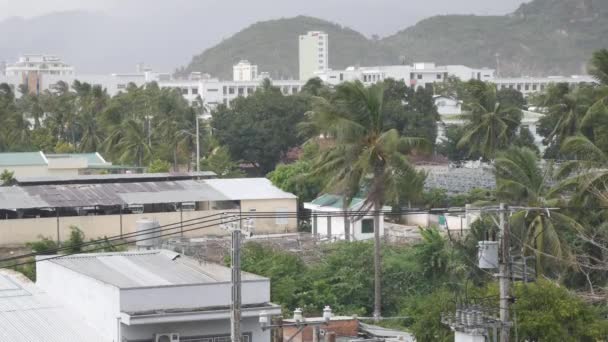 Невелике містечко з пальмами під початком тропічного дощу. Сезон грозових дощів. 4k — стокове відео