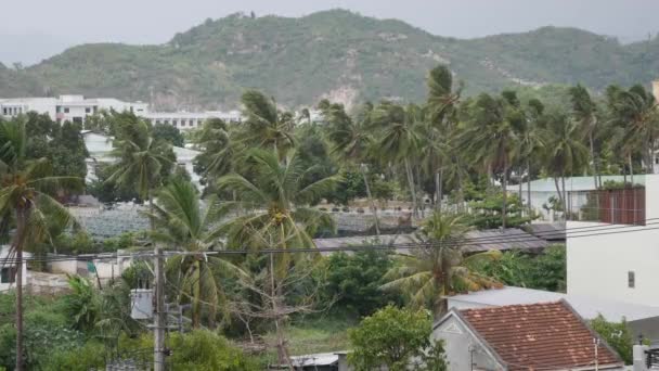 Pequeña ciudad con palmeras bajo la lluvia tropical inicial. Temporada de lluvias tormentosas. 4k — Vídeo de stock