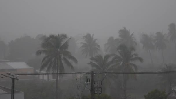 Zeer sterke zomer Storm met dicht bij orkaan Force winden. Zware tropische regen, sterke wind schudt de bomen. Donder en bliksemflitsen. Beeldmateriaal met geluid. 4k — Stockvideo