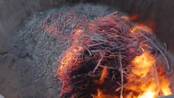 타오 이스트 사원에서 중국 새해 축하식에서 향 과 지폐를 태우기 위한 벽난로. 자비의 여신. 4k — 비디오
